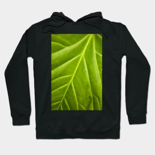 Branching Hoodie